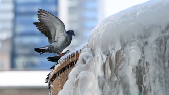 第1现场｜“冰柜”纽约：喷泉变冰雕，体感-34℃