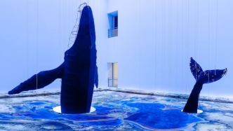 现场｜鲸鱼“游弋”在美术馆，听那些鲸歌与呼唤
