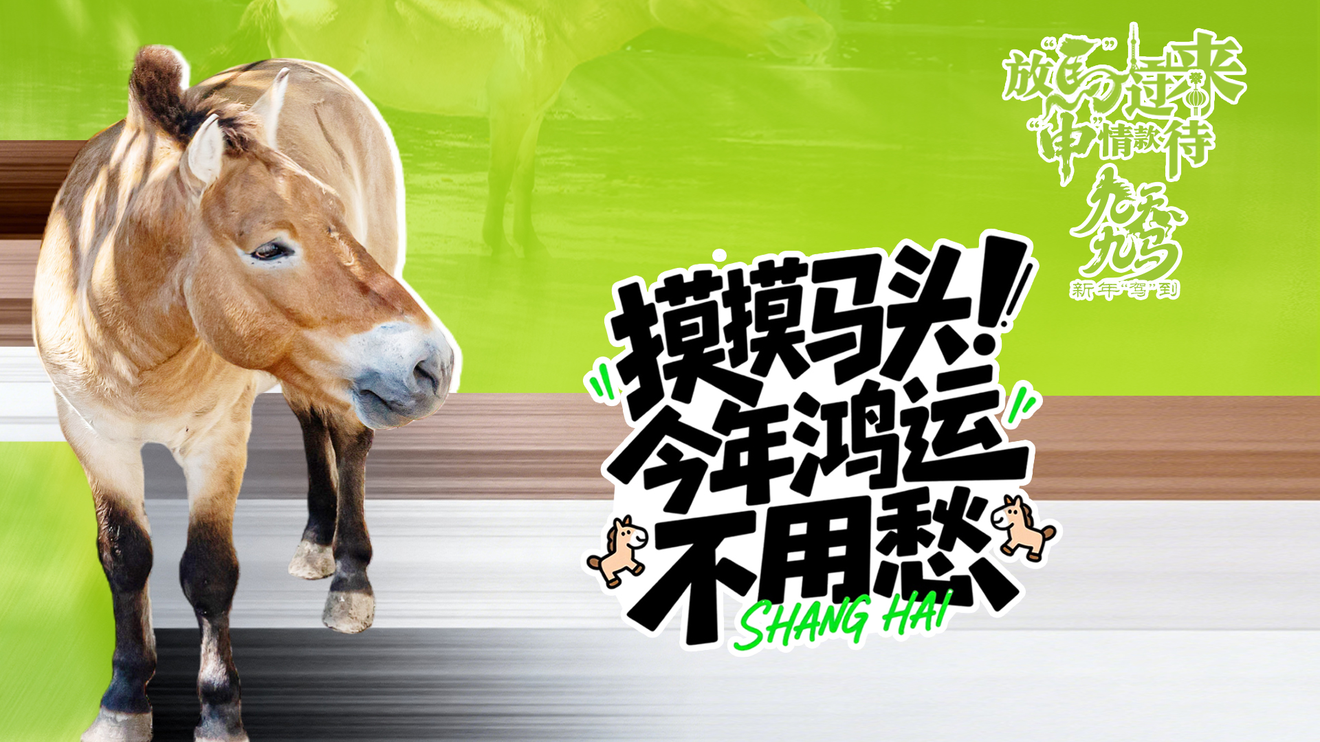 放马过来，“申”情款待丨摸摸马头，今年鸿运不用愁