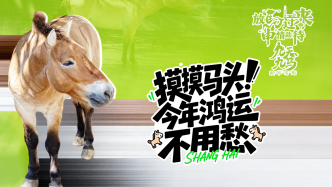 放马过来，“申”情款待丨摸摸马头，今年鸿运不用愁