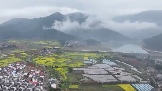 2025年我国农村网络零售额首破3万亿元