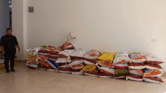 云南临沧破获一起非法贩卖毒品原植物种子案，抓获1人