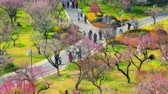 “公园城市”怎么建？首项国家标准划重点