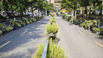优化绿植租摆、推进自主培育，多地在绿化环节节约机关运行经费
