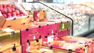 视频丨南货北上 年货“新”意足 年味更丰富