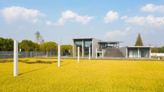 霓虹灯外：一周城市生活