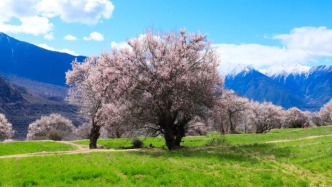 林芝景點(diǎn)排行榜，西藏林芝最值得去的10大好玩景點(diǎn)，你去過(guò)幾個(gè)？
