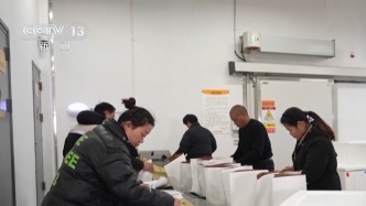 视频丨年货清单关键词：情绪价值、即时尝鲜