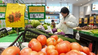 2026物价展望：CPI有望温和回升，PPI或将转正