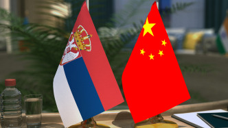 塞尔维亚总统武契奇会见王毅