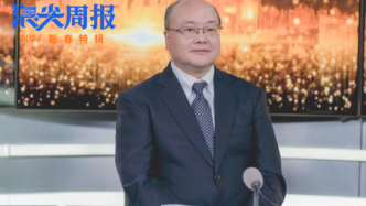 王振：以可运行的协同治理打造长三角产业共振接口