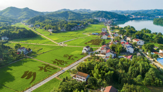 四部门：建立常态化金融支持机制助力防止返贫致贫和乡村全面振兴