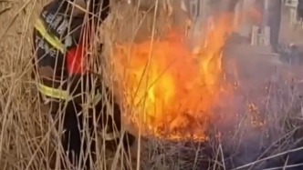 湖北鄂州一75岁老人祭祖烧纸引发山火，获刑六个月缓期一年执行