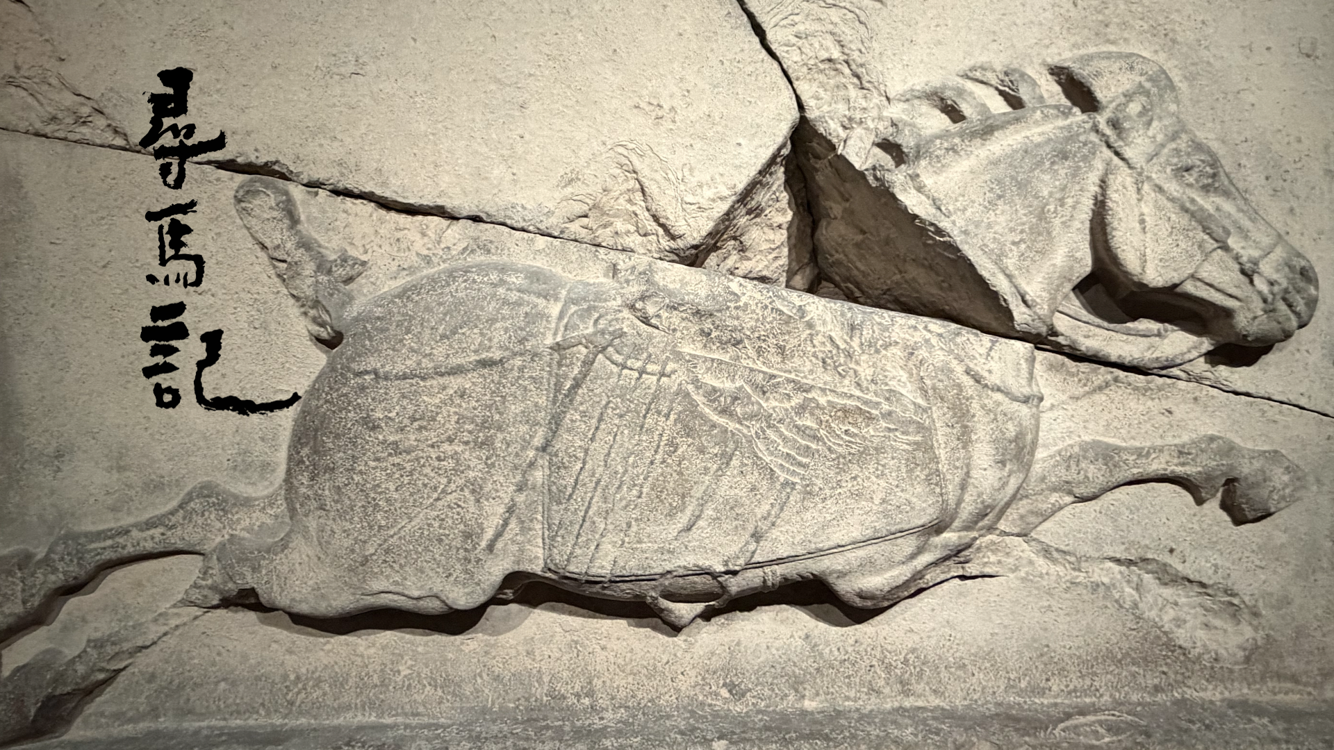 寻马记｜为什么说昭陵六骏是中国美术史上最伟大的纪功碑之一