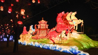 外国领导人和国际组织负责人祝贺马年新春