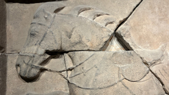 寻马记｜昭陵六骏，何时能团聚