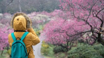 新春暖意來！寒潮將結(jié)束有利出行，雨雪范圍縮減中東部升溫