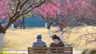 今明两天多地持续回暖，部分地区初五前后强冷空气来袭