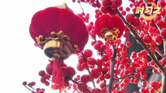 時習(xí)之丨“我最大的心愿，就是大家都能歡歡喜喜過好年”