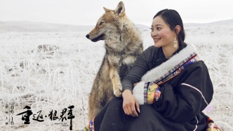 這部紀錄片重新爆火，狼王的故事何以感動全網(wǎng)？