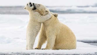 气候资讯｜2月全球前沿气候科学研究&极端天气气候事件