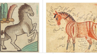 新书经眼｜微小生命所承载的无限可能性