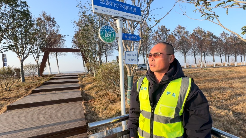 新春走基层丨崇湖湿地公园里的护鸟队员:春节轮班巡湖,鸟越来越多了