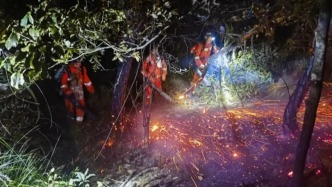 广东一县一天内接连发生五起森林火情，均因违规燃放烟花爆竹