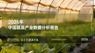 2026年中国蔬菜产业数据分析报告