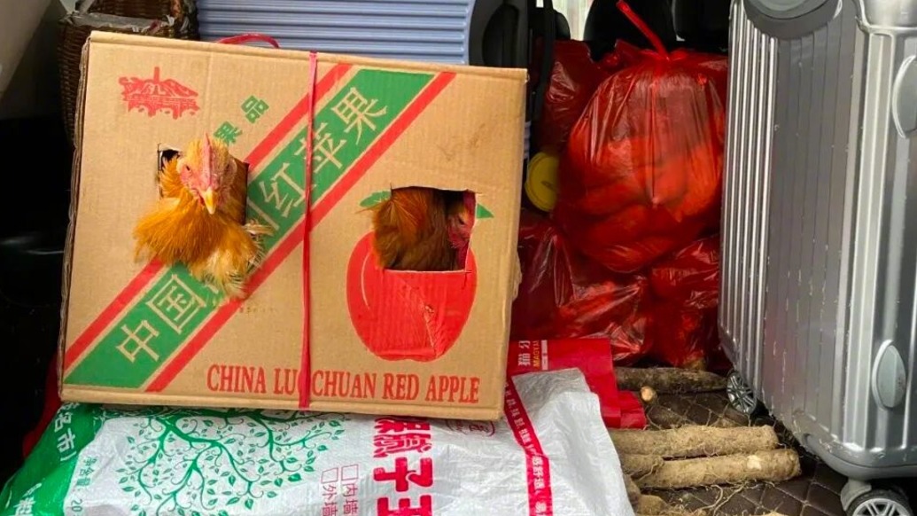 新华时评：满载爱的行囊，奔赴下一场山海