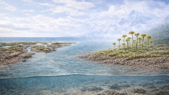 我国科研团队新发现：4亿多年前早期植物已在陆地大规模扩张