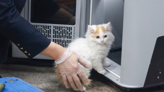 法治日报：高铁宠物托运服务试点扩大，专家称体现公共服务理念进步