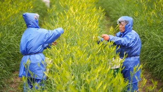 最高检：地理标志保护是系统工程，需多方联动形成保护合力