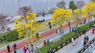 花提前开了！别高兴，地球生物钟正在剧烈波动