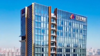 “三只羊”回應(yīng)借殼上市成功：未有任何形式的借殼上市、整體上市、IPO申報(bào)