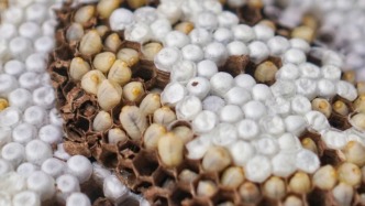 中國(guó)口味最重的省，說(shuō)云南第一，沒(méi)人敢稱第二！