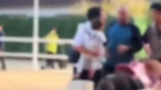 小孩骑马受惊家长掌掴工作人员，杭州野生动物世界：已安抚员工情绪，双方已和解
