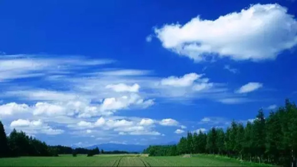 生态环境部：2025年全国环境空气质量历史最优