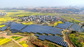 让农民生活更加富裕美好——从打赢脱贫攻坚战到圆满完成5年过渡期任务