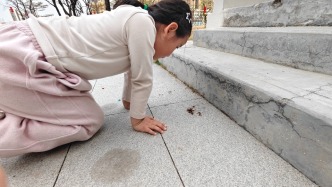 夜读｜给蚂蚁过个年