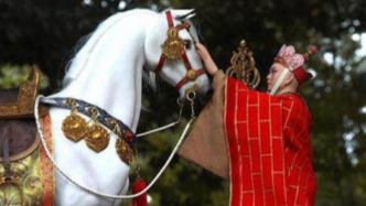 影海识骏：总有一种力量以蹄声为信，无问西东