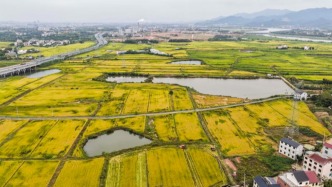 农业农村部答澎湃：今年将继续毫不放松抓好粮食生产