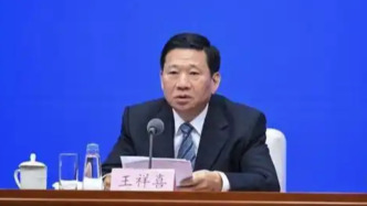 王祥喜被免去国家消防救援局第一政治委员职务