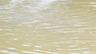 海南乐东通报母子外出放牛坠入水坑溺亡：排除刑案，正调查处理