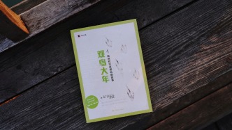 当一个人决定把整整一年，挥霍在天空的飞羽｜翻翻书·书评