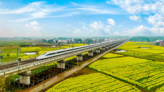 2025年国民经济和社会发展统计公报发布，哪些亮点值得关注？