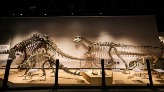“中國恐龍大展”閉幕，展出9個月累計接待觀眾223萬人次