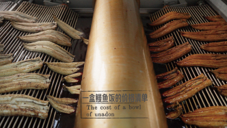 氣候與餐桌｜追尋當(dāng)代的“鰻魚(yú)問(wèn)題”