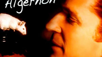 《献给阿尔吉侬的花束》：人类在虚无面前写下的反抗宣言