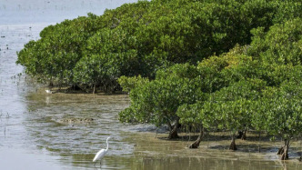 光明日报：深圳湾公园两次“拒绝”建议，为何收获一片好评？